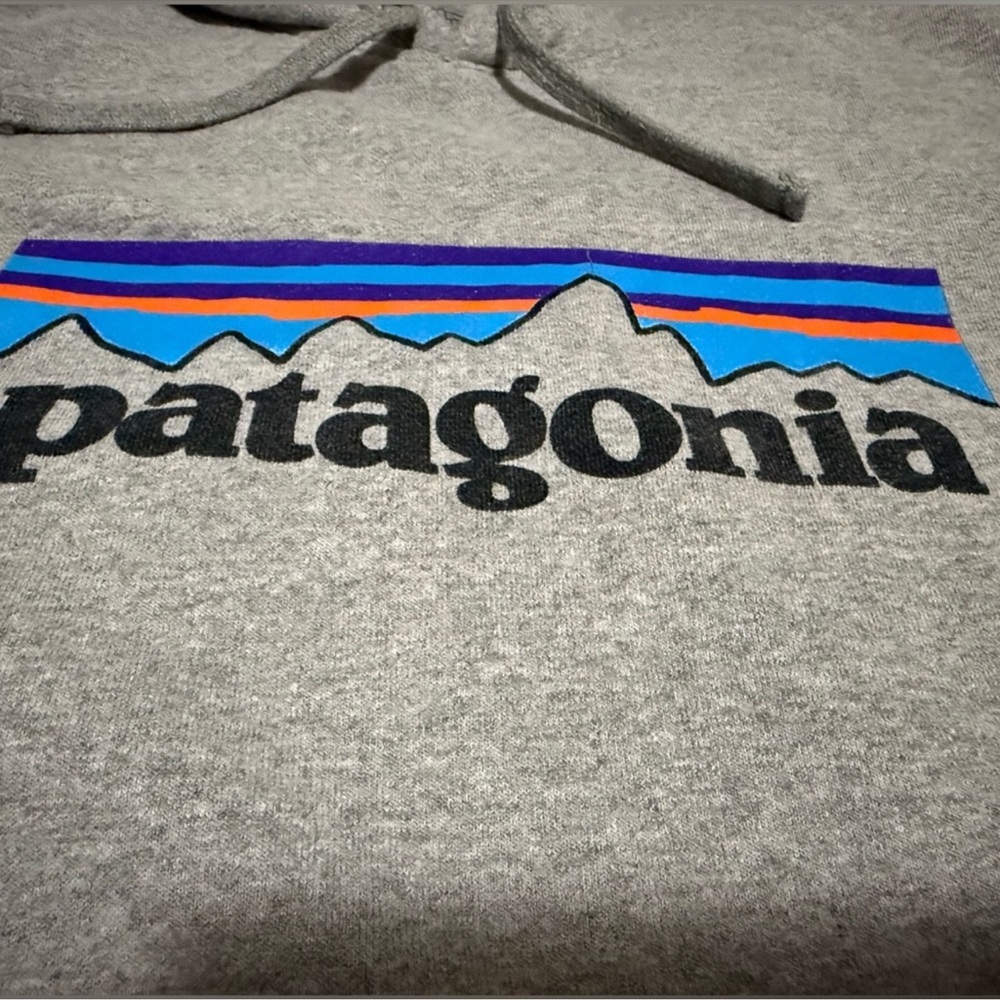 Patagonia Hoodie Gray Logo Sweater unisex